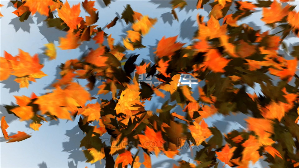 中文AE模板制作吹散枫叶动画展示LOGO效果秋季视频片头_第2张图片_AE模板库