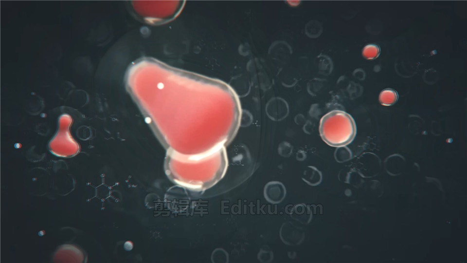 AE模板下载细胞分裂动画LOGO效果医学生物化学视频片头_第1张图片_AE模板库