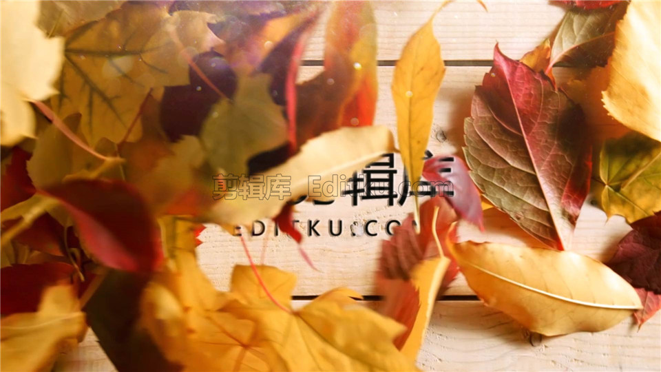 中文AE模板充满阳光温馨秋天风吹散落叶显露出LOGO动画效果_第2张图片_AE模板库