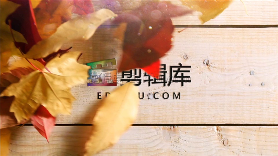 中文AE模板充满阳光温馨秋天风吹散落叶显露出LOGO动画效果_第3张图片_AE模板库