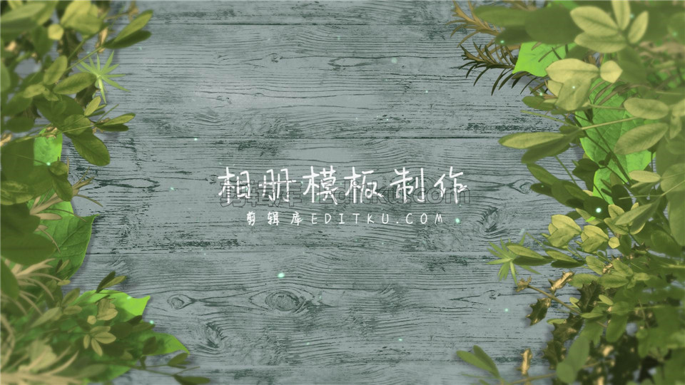 中文AE模板热带雨林绿色树叶木纹背景旅行照片视频相册动画制作_第1张图片_AE模板库