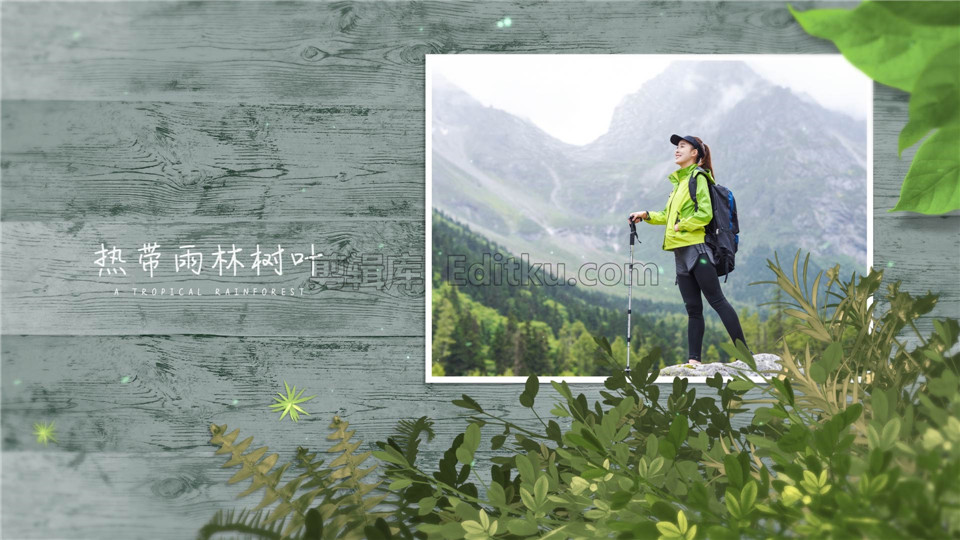 中文AE模板热带雨林绿色树叶木纹背景旅行照片视频相册动画制作_第2张图片_AE模板库