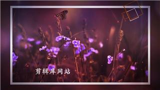 中文AE模板简约户外旅行拍摄风景图片幻灯片动画视频
