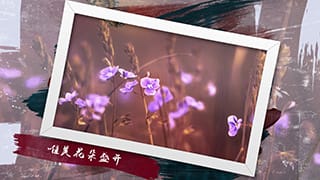 温馨唯美秋季家庭旅行相册展示电子幻灯片视频中文AE模板
