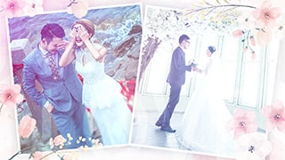 中文AE模板婚礼公司请柬蜜月度假常用照片幻灯片动画