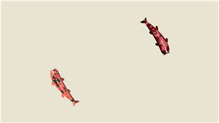 PR模板制作卡通锦鲤鱼游动水图形MG动画LOGO片头效果视频