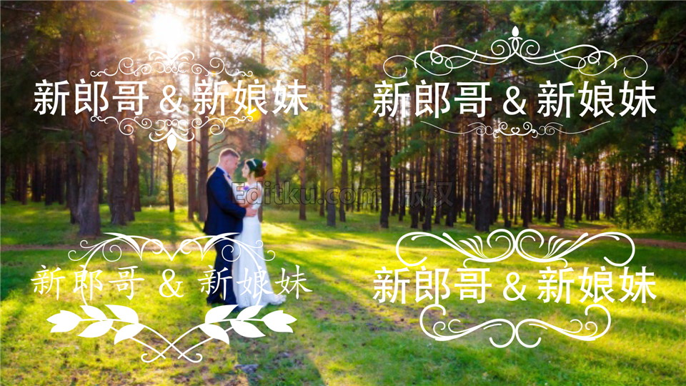PR预设制作12组婚礼徽章标题动画浪漫丝带新人姓名标题 第2张