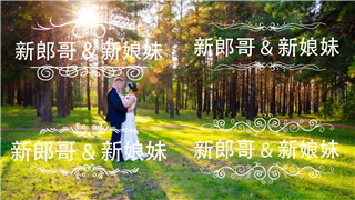 PR预设制作12组婚礼徽章标题动画浪漫丝带新人姓名标题