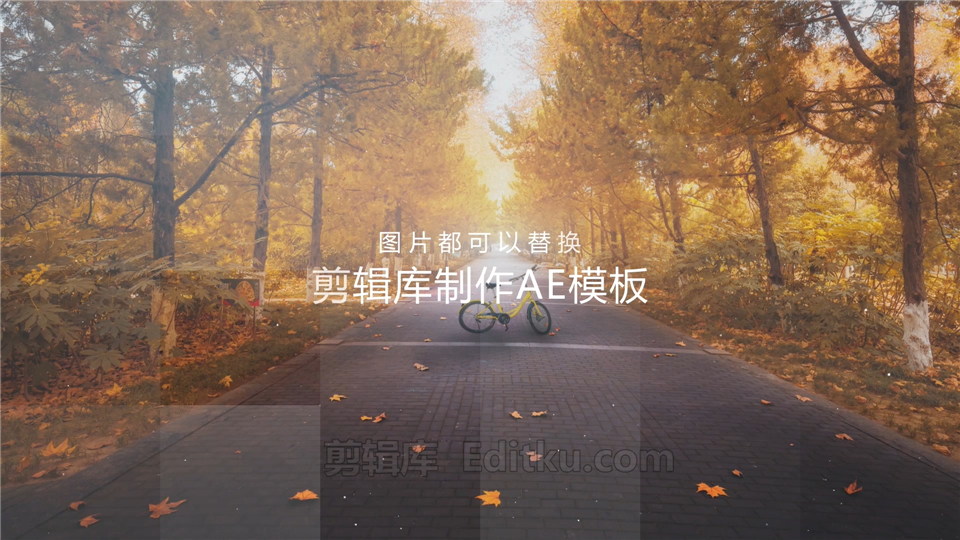 中文AE模板柔和漏光图形滑动转场幻灯片动态分屏照片动画_第3张图片_AE模板库
