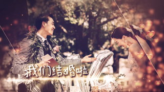 中文AE模板心形元素美丽婚礼相册视频制作照片幻灯片动画视频