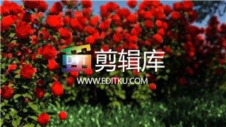 原创AE模板穿梭鲜艳四季玫瑰花园动画演绎LOGO片头视频