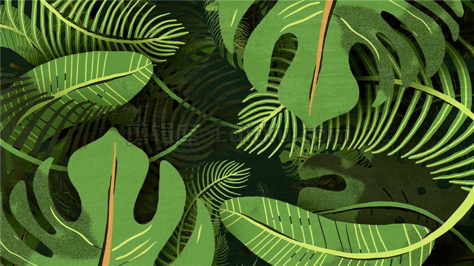 中文AE模板动态自然热带绿植物叶子分散动画LOGO片头_第1张图片_AE模板库
