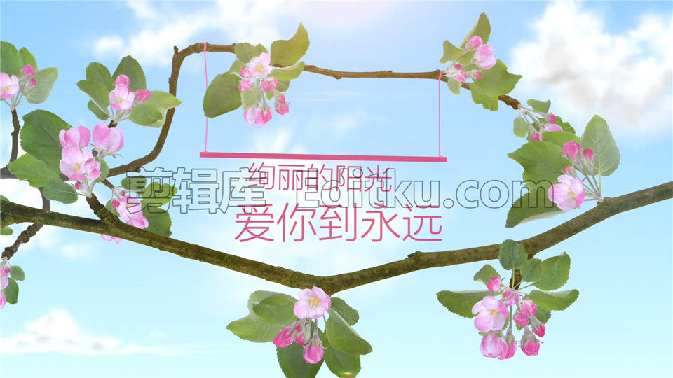 中文PR模板情人节浪漫温馨树枝开花简约时尚相册 第3张
