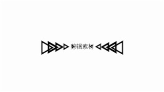 中文PR模板简约风MG黑白色调图形动画logo展示