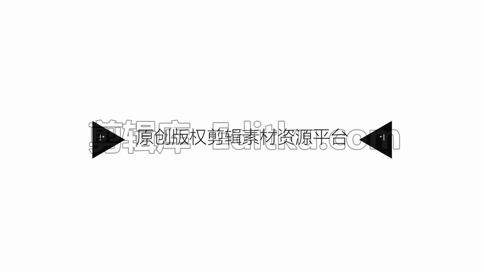 中文PR模板简约风MG黑白色调图形动画logo展示 第2张