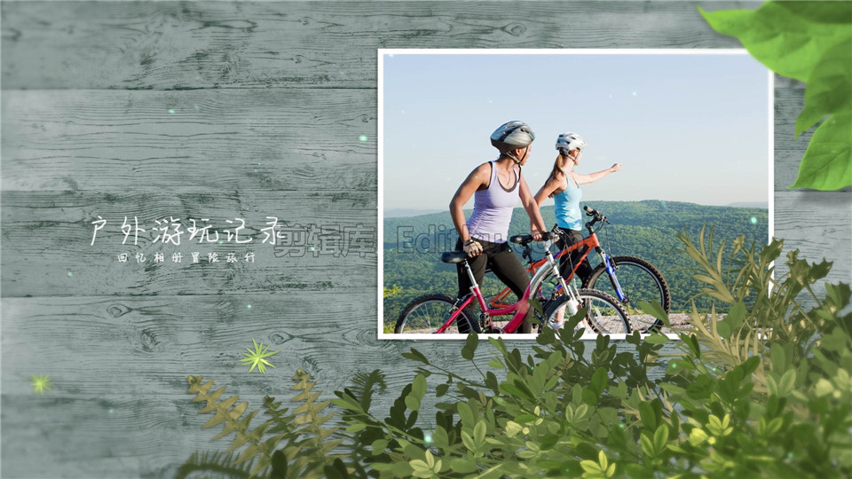 中文AE模板热带雨林绿色树叶木纹背景旅行照片视频相册动画制作_第4张图片_AE模板库