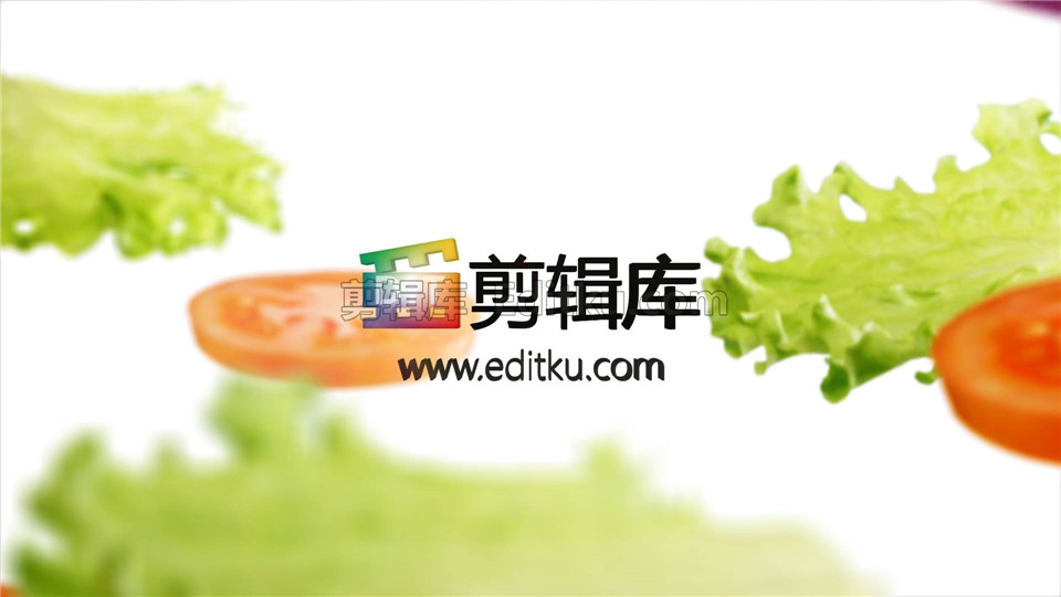 原创AE模板农业绿色生态健康蔬菜美食养生宣传LOGO演绎动画_第2张图片_AE模板库