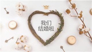 中文PR模板温馨浪漫可爱时尚美好幸福婚礼相册图文展示