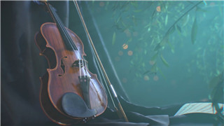 中文PR模板小提琴音乐主题浪漫温馨简约有趣音乐节logo展示