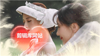 中文PR模板婚礼纪念相册美好浪漫温馨幸福水墨渲染图文展示