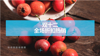 中文PR模板双十一双十二促销活动产品介绍广告宣传图文展示
