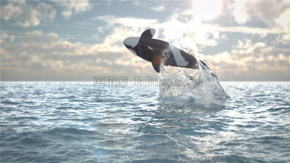 中文AE模板制作鲸鱼跃出海面后在浪花中揭示出LOGO开场动画_第1张图片_AE模板库