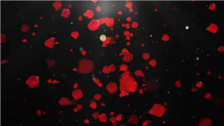 黑色背景实用浪漫婚礼玫瑰花瓣飘落叠加用动态背景视频素材动画