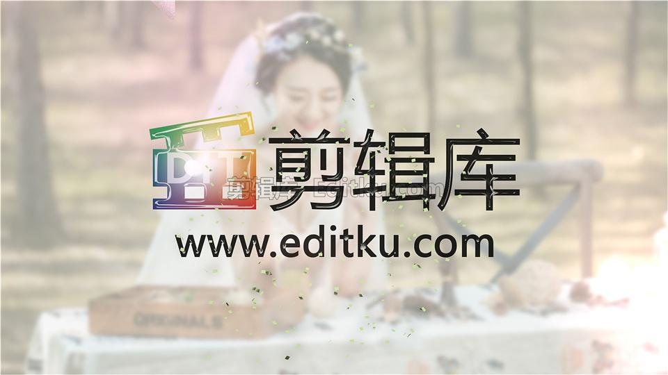 中文AE模板制作浪漫情人节优雅婚礼照片画中画效果幻灯片展示视频_第4张图片_AE模板库
