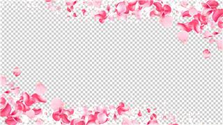 38女神节婚礼后期动态粉红花瓣粒子无缝循环遮罩边框带透明合成视频