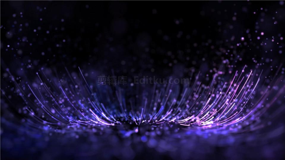 4k分辨率级暗黑空间中梦幻高贵紫粒子花瓣生长特效背景视频vj素材 剪辑库视频素材下载
