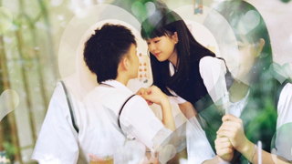 中文PR模板浪漫情人节婚礼幸福美满爱心过渡转场效果视频相册片头