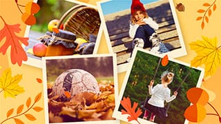 中文AE模板充满浪漫之秋美丽树叶装饰照片展示幻灯片动画