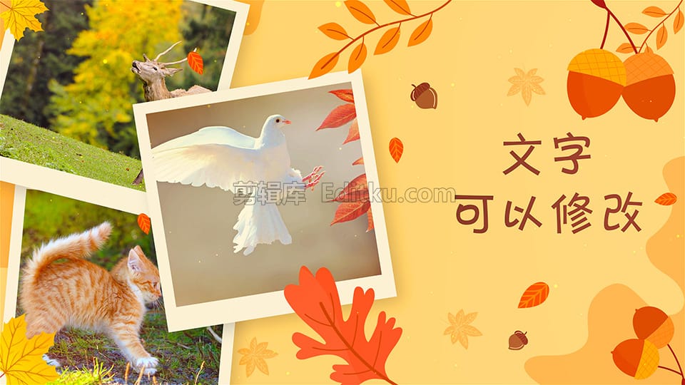 中文AE模板充满浪漫之秋美丽树叶装饰照片展示幻灯片动画 第4张