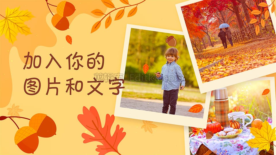 中文AE模板充满浪漫之秋美丽树叶装饰照片展示幻灯片动画 第3张