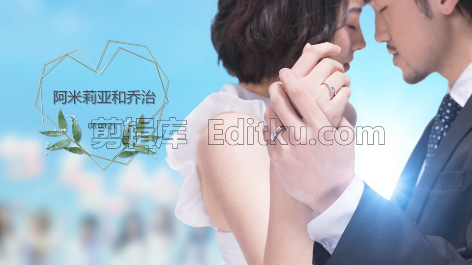 中文PR模板婚礼情人节幸福浪漫枝叶生长基本图形字幕 第4张