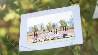 中文PR模板阳光明媚温暖幸福生活记录树枝花园视频相册