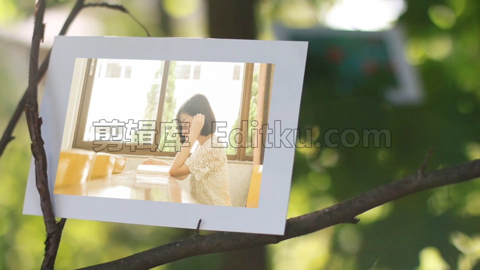 中文PR模板阳光明媚温暖幸福生活记录树枝花园视频相册 第2张