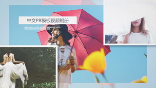 中文PR模板平滑缩放典雅简约广告企业产品宣传视频相册