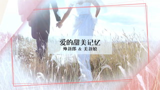 中文PR模板幸福温馨浪漫甜蜜婚礼回忆纪念电子视频相册