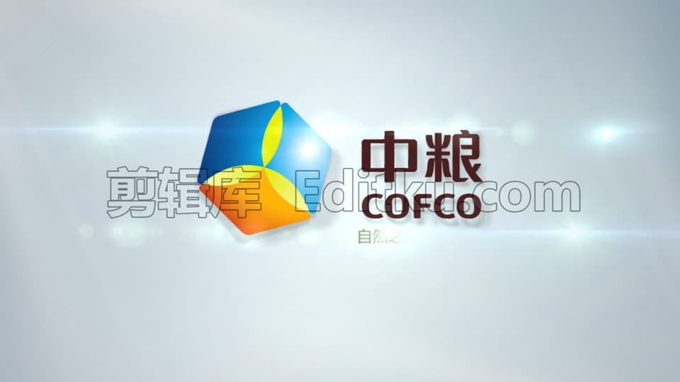 明亮干净切割标志揭示LOGO动画视频片头中文PR模板 第4张