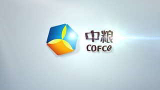 明亮干净切割标志揭示LOGO动画视频片头中文PR模板