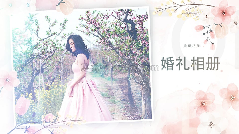 中文AE模板婚礼公司请柬蜜月度假常用照片幻灯片动画 第2张