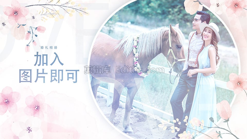 中文AE模板婚礼公司请柬蜜月度假常用照片幻灯片动画 第4张
