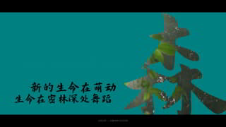 生态文明建设宣传保护生物多样性视频图文片头中文AE模板