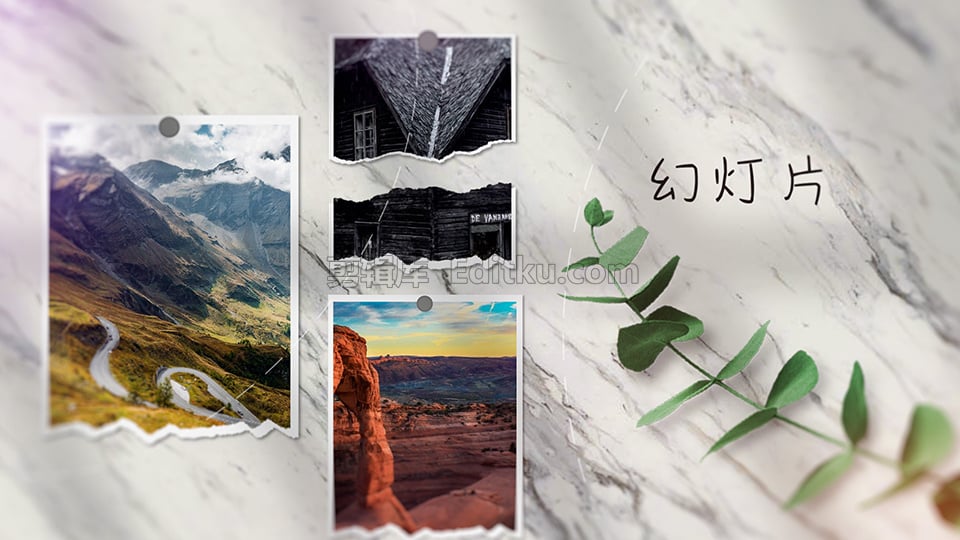 中文AE模板现代绿化植物旅行日记清新图片幻灯片动画制作 第4张