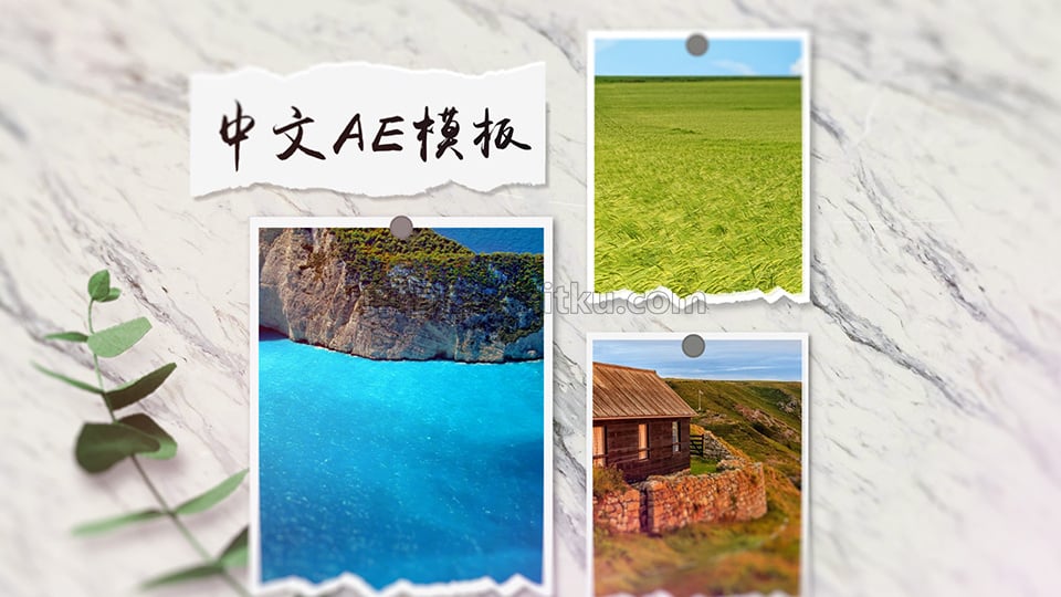 中文AE模板现代绿化植物旅行日记清新图片幻灯片动画制作 第1张