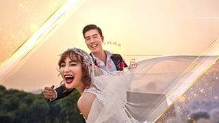 中文AE模板幸福温馨订婚周年纪念奢饰婚礼相册幻灯片动画