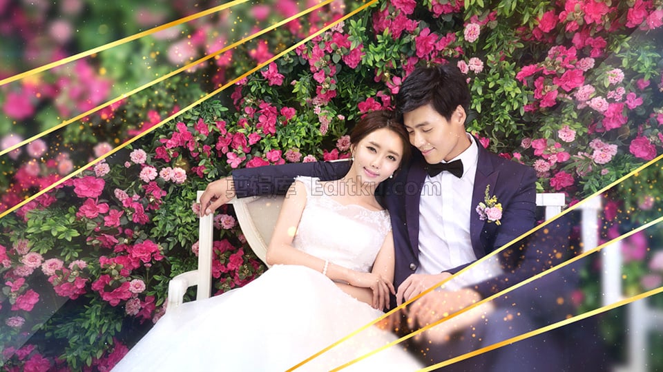 中文AE模板幸福温馨订婚周年纪念奢饰婚礼相册幻灯片动画 第1张