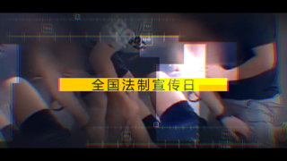 4K 中文PR模板全国法制宣传日即国家宪法日科技风图文视频宣传片