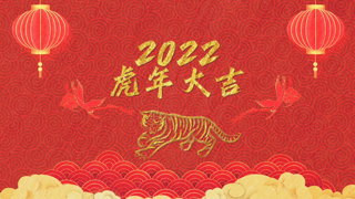 原创PR模板新春佳节欢度新年虎年大吉春节祝福图文视频相册